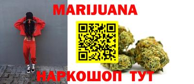 прущие грибы Чебоксары
