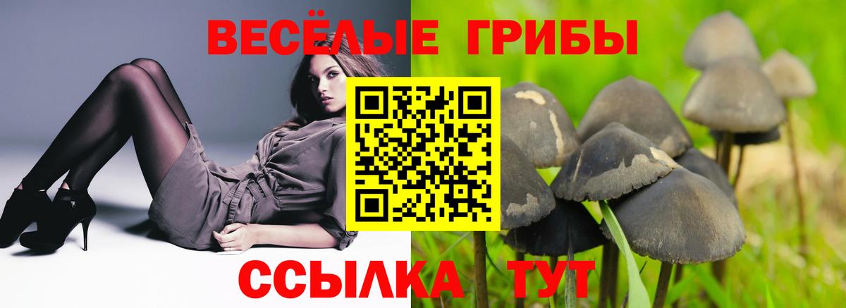 Скопин  Псилоцибиновые грибы GOLDEN TEACHER  Вход с VPN 